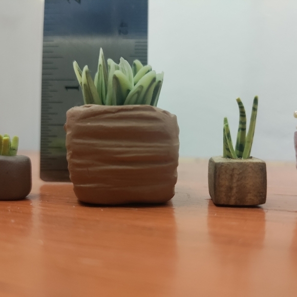 6 Polymer clay & tiger maple potted plants - Picture 5 of 11